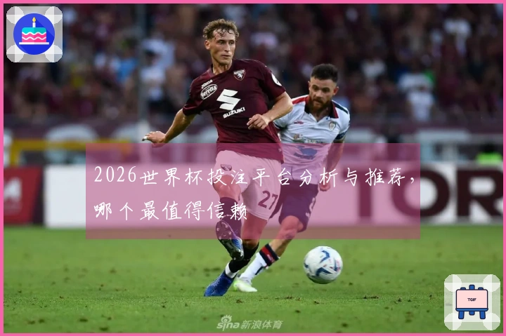 2026世界杯投注平台分析与推荐，哪个最值得信赖