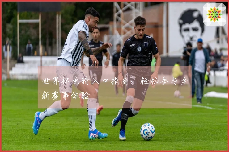 世界杯竞猜入口指南，轻松参与全新赛事体验
