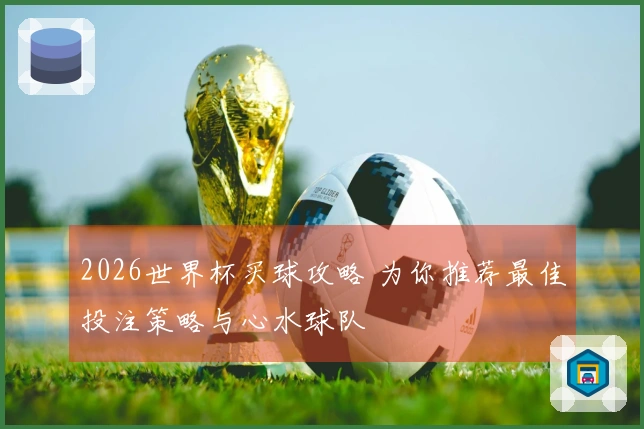 2026世界杯买球攻略 为你推荐最佳投注策略与心水球队