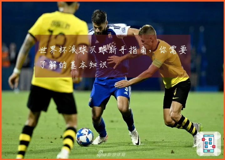 世界杯滚球买球新手指南，你需要了解的基本知识