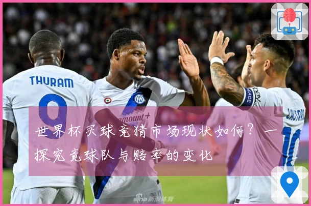 世界杯买球竞猜市场现状如何？一探究竟球队与赔率的变化