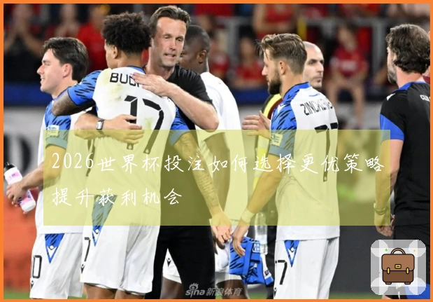 2026世界杯投注如何选择更优策略提升获利机会