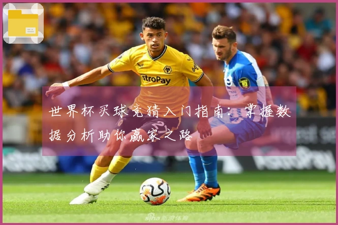 世界杯买球竞猜入门指南：掌握数据分析助你赢家之路