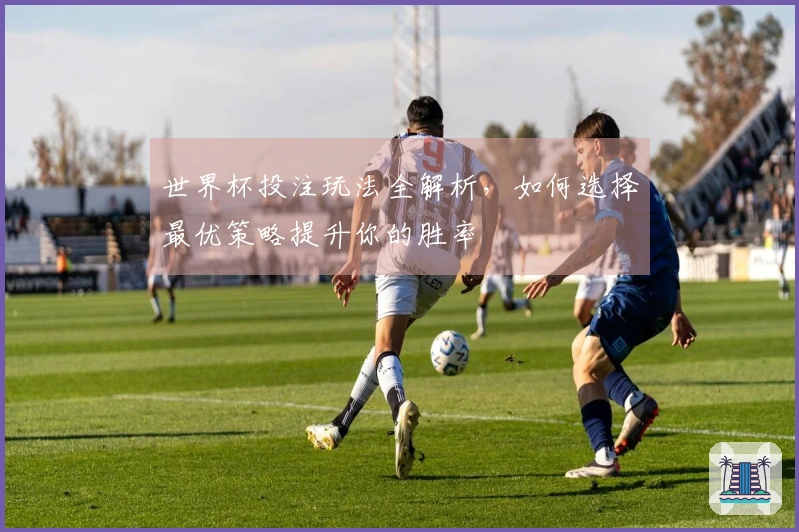 世界杯投注玩法全解析，如何选择最优策略提升你的胜率